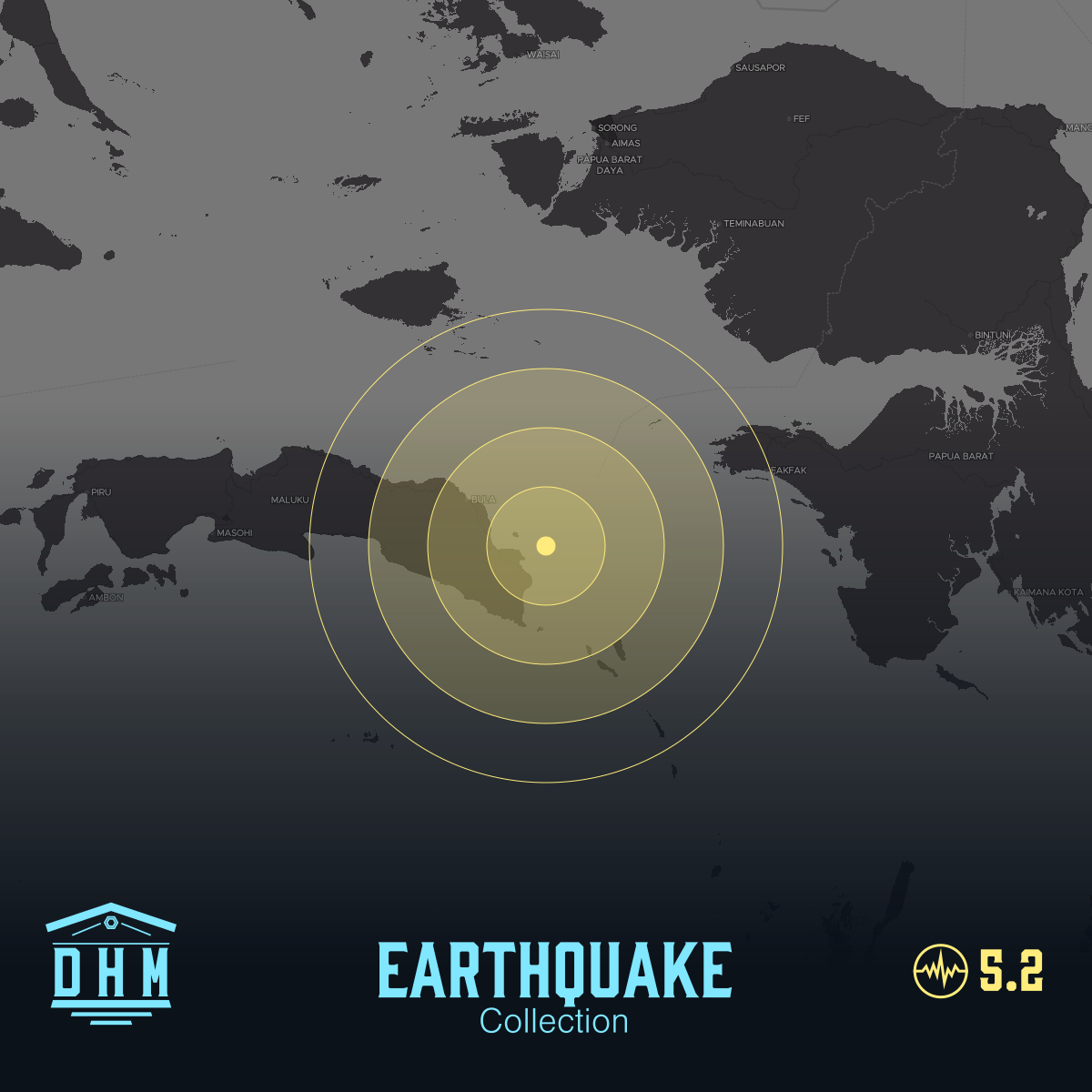 DHM: M5+ Quake us6000qhub